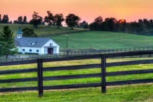 Ranch & Farm Ranching